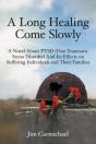 A Long Healing Come Slowly - Preview