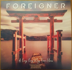 Capa do artigo A Long, Long Way From Home - Vinil