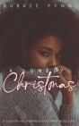 A Lonley Christmas - Preview