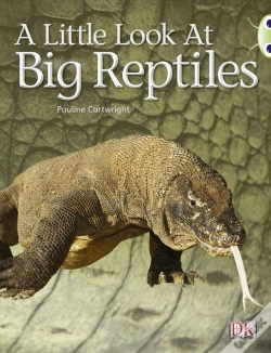 Capa do artigo A Look At Reptiles (Blue B) Nf 6-Pack