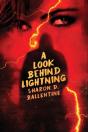 A Look Behind Lightning - Preview