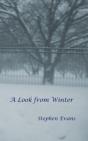 A Look From Winter - Preview