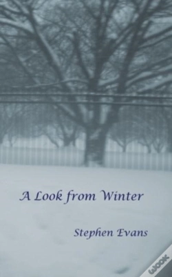 Capa do artigo A Look From Winter