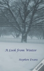 Capa do artigo A Look From Winter