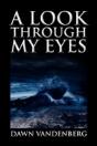 A Look Through My Eyes - Preview