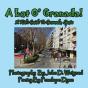 A Lot O' Granada, A Kid'S Guide To Granada, Spain - Preview