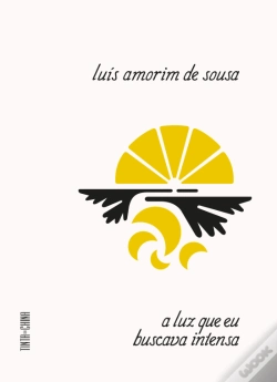 Capa do artigo A Luz que Eu Buscava Intensa
