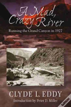 Capa do artigo A Mad, Crazy River