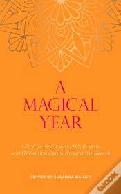 Capa do artigo A Magical Year