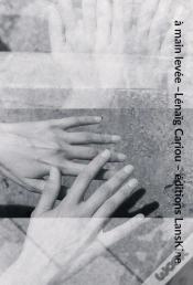 Capa do artigo A Main Levee