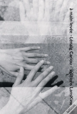 Capa do artigo A Main Levee