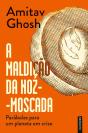 A Maldição Da Noz-Moscada - Preview