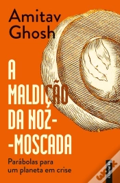 Capa do artigo A Maldição Da Noz-Moscada