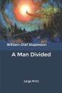 A Man Divided - Preview