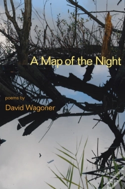 Capa do artigo A Map Of The Night