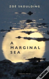 Capa do artigo A Marginal Sea