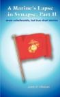 A Marine'S Lapse In Synapse - Preview