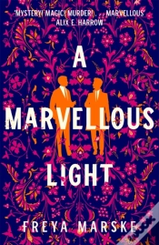 Capa do artigo A Marvellous Light