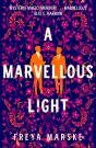 A Marvellous Light - Preview