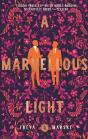 A Marvellous Light - Preview