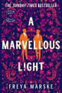 A Marvellous Light - Preview