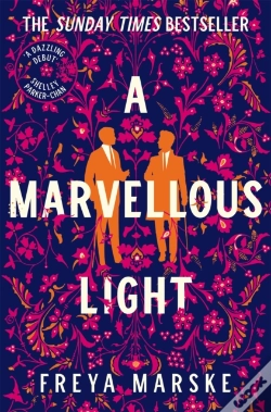 Capa do artigo A Marvellous Light