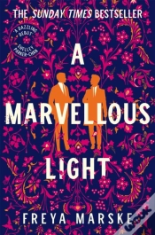 Capa do artigo A Marvellous Light