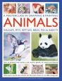 A Masterclass In Drawing & Painting Animals (Wildlife, Pets, Reptiles, Birds, Fish & Insects) - Preview