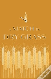 A Match In Dry Grass