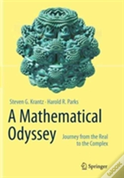 Capa do artigo A Mathematical Odyssey