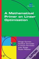 A Mathematical Primer On Linear Optimization