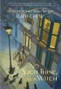 A Matter-Of-Fact Magic Book: No Such Thing As A Witch - Preview