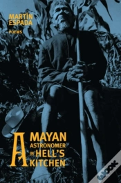 Capa do artigo A Mayan Astronomer In Hell