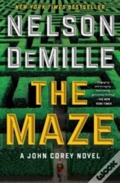 Capa do artigo A Maze