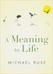 A Meaning To Life