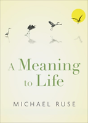 A Meaning To Life - Preview