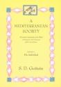 A Mediterranean Society, Volume V - Preview