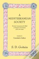 A Mediterranean Society, Volume Vi