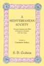 A Mediterranean Society, Volume Vi - Preview