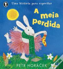A Meia Perdida