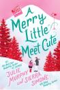 A Merry Little Meet Cute - Preview