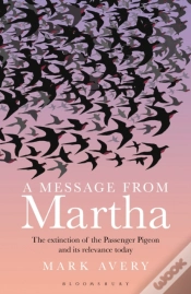 Capa do artigo A Message From Martha