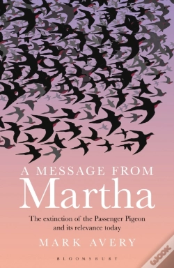 Capa do artigo A Message From Martha