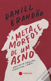 Capa do artigo A Metamorfose de um Asno