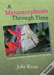 Capa do artigo A Metamorphosis Through Time