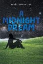 A Midnight Dream - Preview