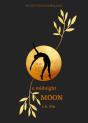 A Midnight Moon - Preview