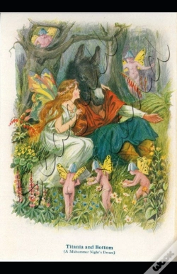 Capa do artigo A Midsummer Night'S Dream Illustrated