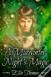 Capa do artigo A Midwinter Night