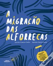 A Migração das Alforrecas